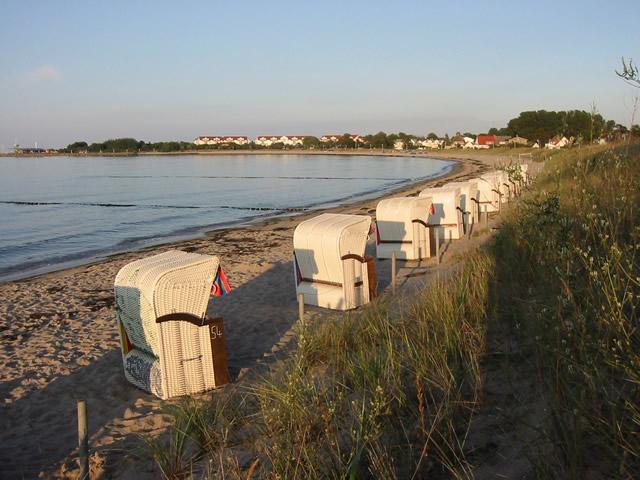 Die Schaabe Eine Perfekt Gestaltete Landschaft Gut Rattelvitz Rügen